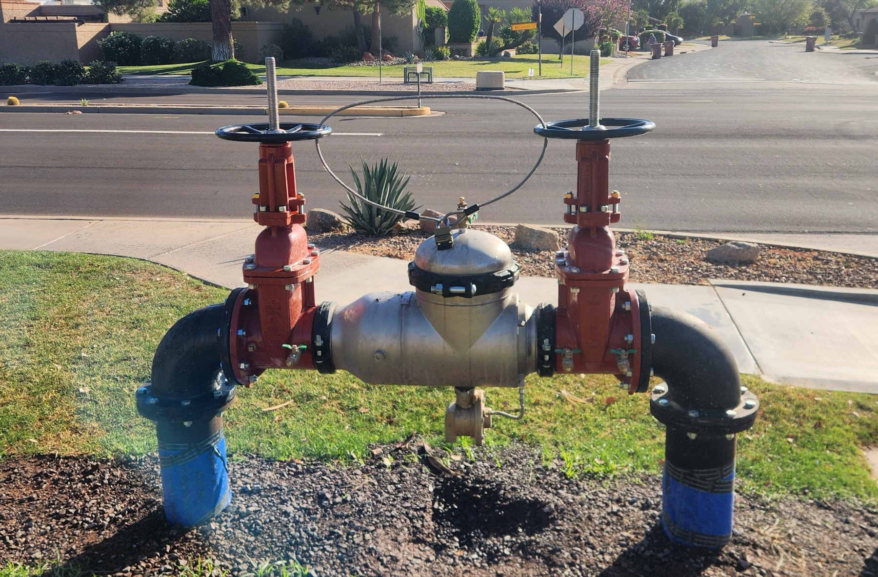 Fire backflow assembly installed and ready for testing